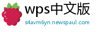 wps中文版